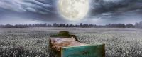 El sueño y la Luna llena: ¿Existe relación entre el ciclo lunar y el descanso humano?