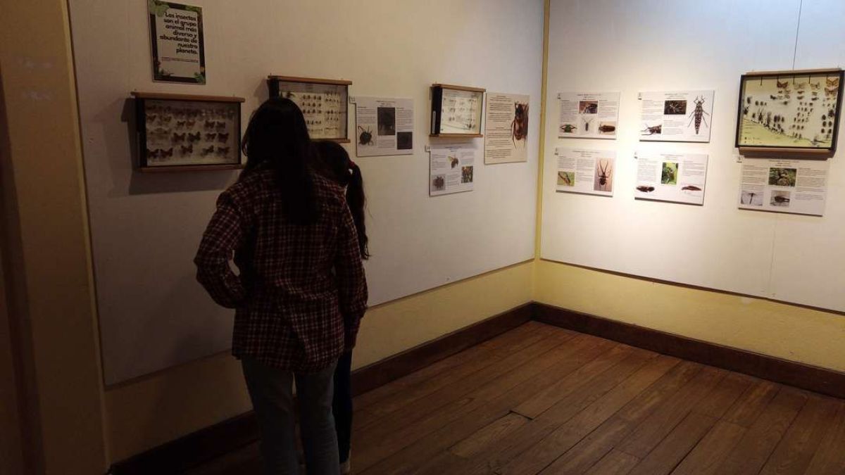 Cada 18 de mayo se celebra el Día Internacional de los Museos