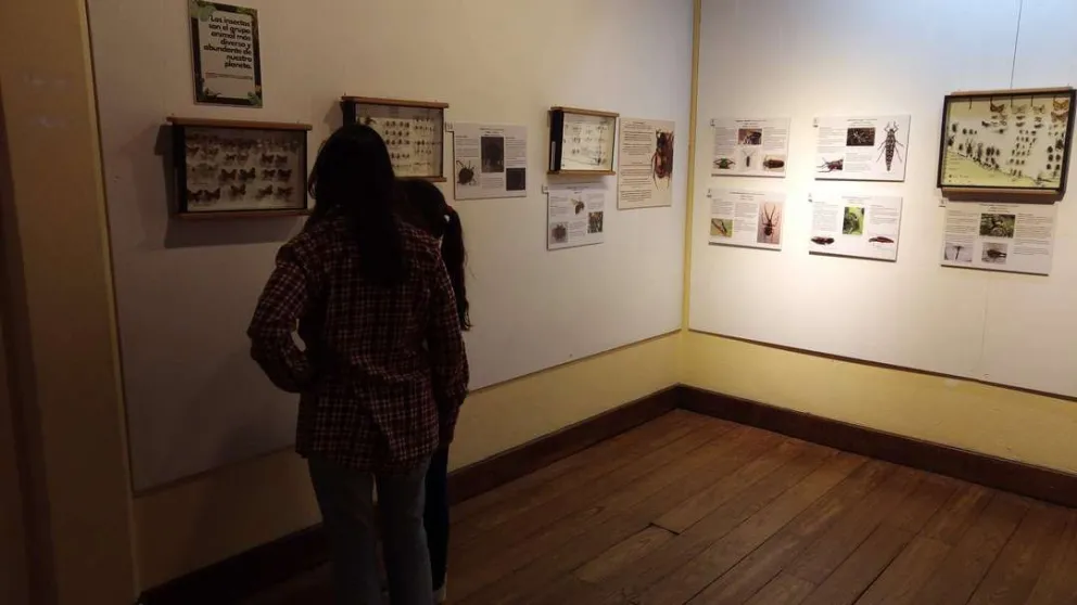 Cada 18 de mayo se celebra el Día Internacional de los Museos