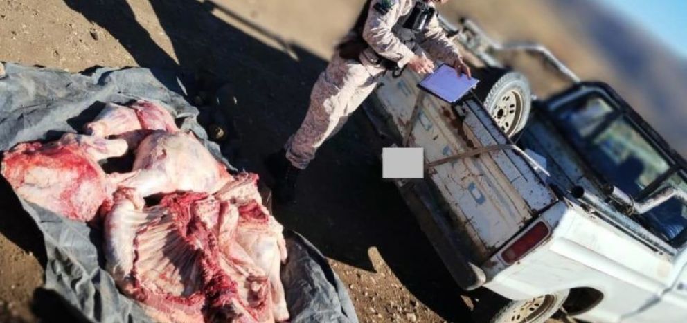 La Brigada Rural de la Policía secuestró carne faenada y transportada irregularmente