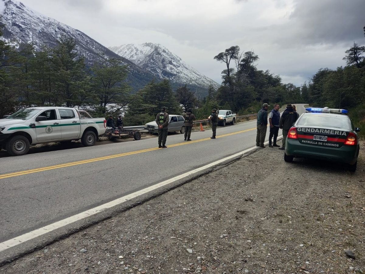 Infraccionaron a tres personas por transportar leña de árboles autóctonos