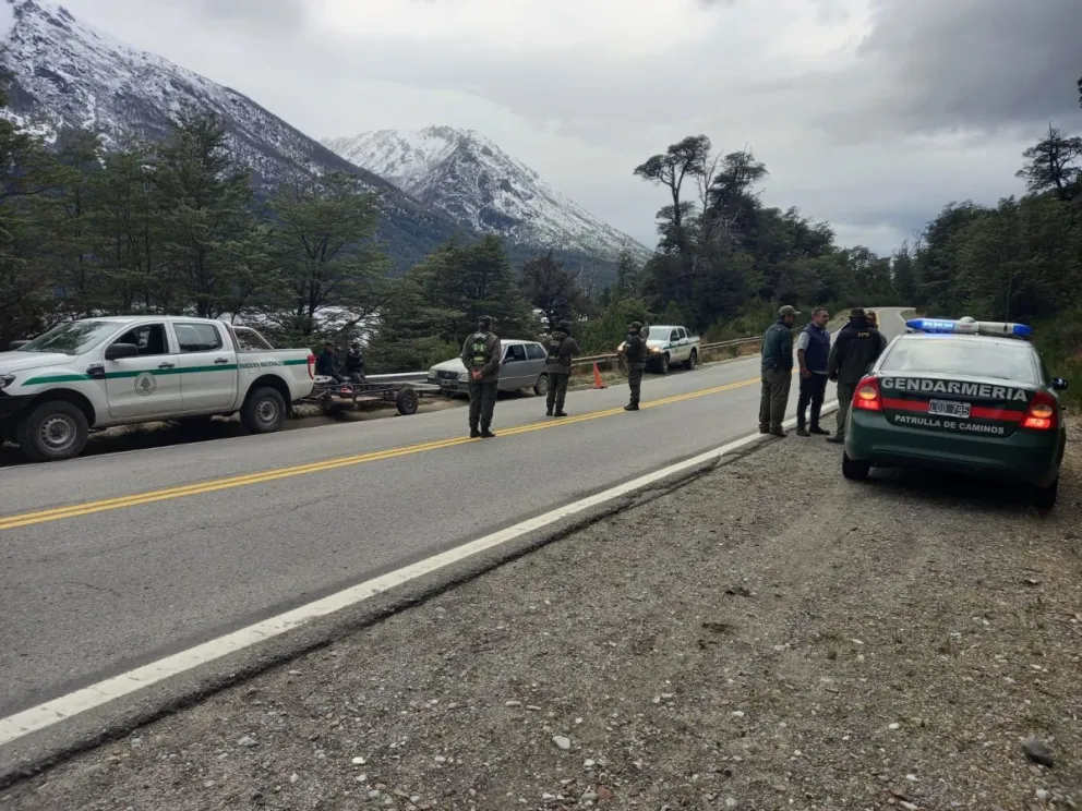 Infraccionaron a tres personas por transportar leña de árboles autóctonos