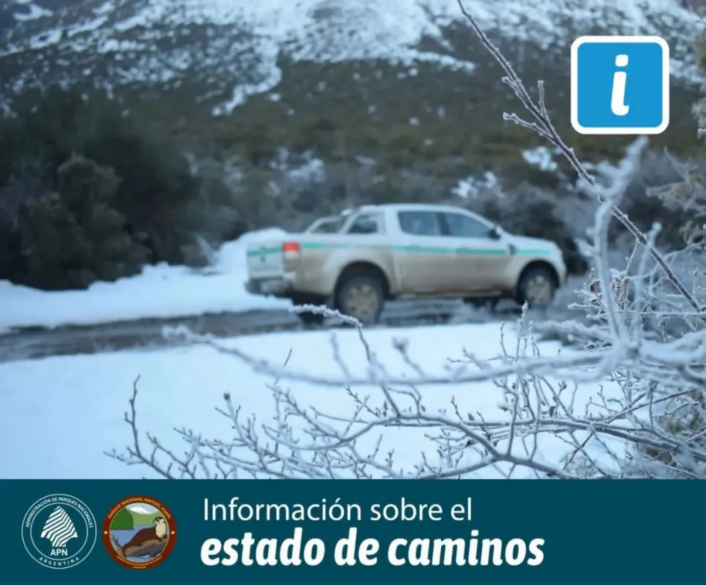 Reabren los circuitos a Tronador y Cascada los Alerces