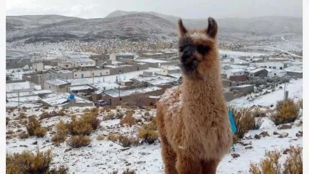 Doce provincias registraron temperaturas bajo cero