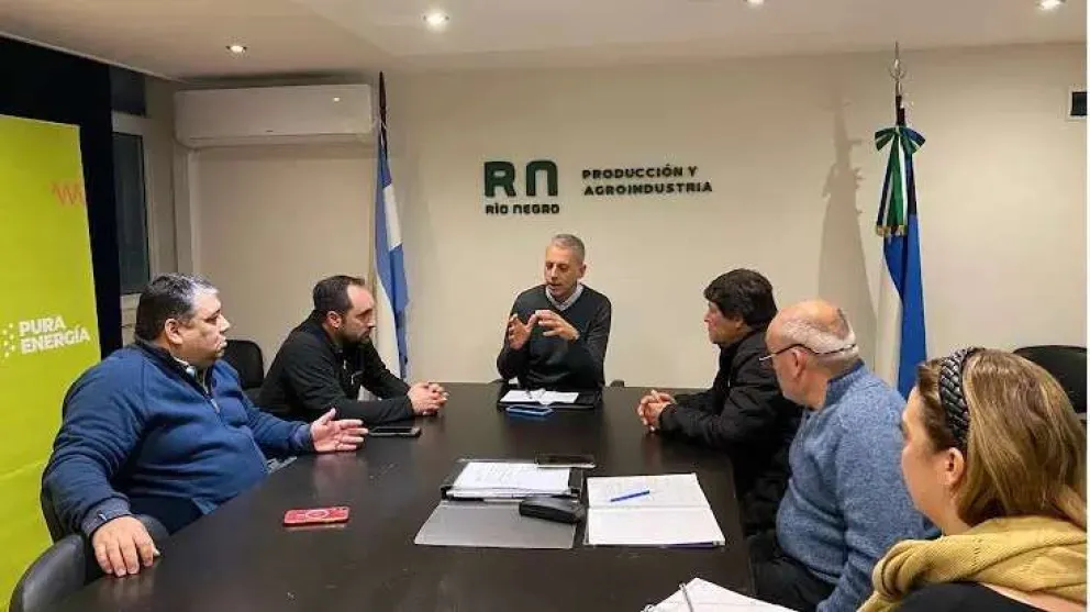 Pesca artesanal: el Gobierno coordina un plan de emergencia junto al sector